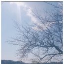 성당보건지소 이미지