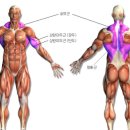 프로핏짐 이미지