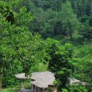 영화마을 이미지