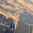 일억할인마트 | 9/1~9/7 그럼 그냥 9월 진행할께요
