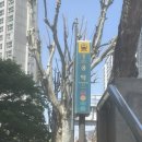 공덕역 4번 출구, 택시승강장 | 서울 데이트하기 좋은곳|공덕 경의선숲길, 양산도 공덕점, 포멜로빈,테디뵈르하우스, 여의도 한강공원