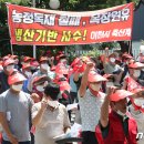 준용농장 뉴스1