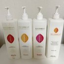 에이치앤메디 | 에코레비 샴푸 일년넘게 사용한 부산대미용실 파라다이스헤어앤스파 원장 재원의 찐 내돈내산 탈모샴푸후기