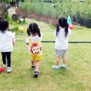 또래마을어린이집 이미지