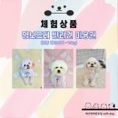 멍보드레 이미지