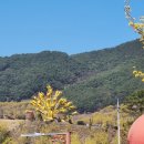 장터한식집 이미지