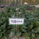 재권농장 이미지