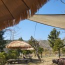 형제농원 이미지