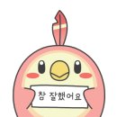 신기한 매직 마술 이미지