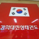 진성태권도 이미지