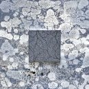 [광산아트플러스62] 書 · 畵 창조적 진화