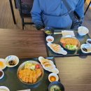 방역특공대 - 서구 | 대마도 여행특공대 패키지 여행 솔직 후기 (with 부모님) -1