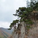 얼음골 용아B ~ 천황산 ~ 주암계곡 ~ 심종태바위 ~ 재약산 ~ 문수봉 이미지