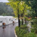 이부바바 이미지