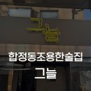 합정술집 홍대조용한술집 그늘 후기