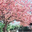 선동 경로당 이미지