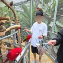 경주버드파크 이미지