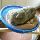 봉수농장 이미지