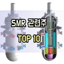 (주)티에스넥스젠 태양광발전소 | SMR 관련주 TOP-10 소형원전모듈 대장주 수혜주 테마주