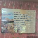 강촌 토종삼계탕 네이버블로그