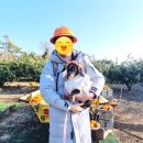 해보농장 이미지