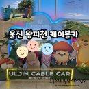 둥이카 | 울진 왕피천 케이블카/울진가면 꼭 해봐야하는 것, 50%환급, 미취학아동 무료이용