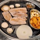 샤로수흑돈