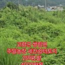 대구농장 이미지