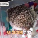 따봉 이미지