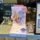 스타벅스 강서녹산DT점 이미지