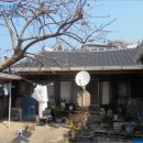 광양읍 광양동초등학교 이미지