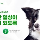 예지사료 이미지