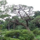 조경세계 이미지