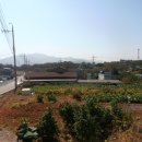 묘도1길 이미지