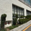 주민농장 | [해운대 동백역 양식 맛집] 스미스씨네농장 웨이팅 없이 방문 후기(메뉴, 주차, 예약)