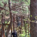 산막이옛길 | 충북 괴산 가볼만한 곳 괴산여행 산막이옛길 (주차정보 코스정보 소요시간)