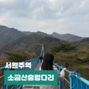 서05-404 | 원주 당일치기 여행 소금강 출렁다리 케이블카 입장료