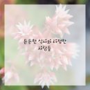 차서한의원 이미지