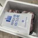 유황꿀돼지 이미지