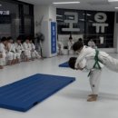 용인대 유사사 유도관 이미지