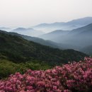 빵장이