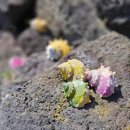 in 섬 story 이미지