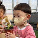 우럭농장 이미지