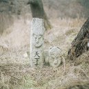 은진송씨 열녀문 이미지