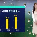 내일의 날씨 (SBS. 남유진 기상캐스터) 이미지