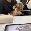 우이락광주 네이버블로그