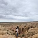 한마음세탁마을 | 나 몽골 갔다.