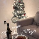 스테이티모가 이미지