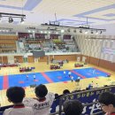 무궁화태권도 이미지