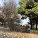 마포, 걷고싶은길 6코스 | 서울 마포걷고싶은길 6코스를 따라 도심 속 짧은 산책(ft. 망원초록길, 서울함공원)